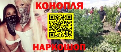 герыч Кунгур